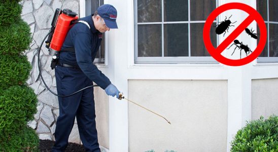 Akyazı Böcek İlaçlama böcek ilaçlama ve haşere kontrolü — ilaclama-tr.com